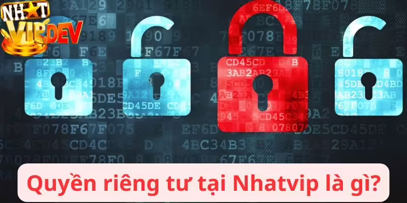Quyền riêng tư tại Nhatvip là gì?